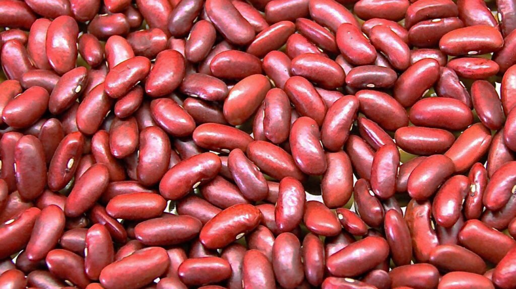 red kidney beans