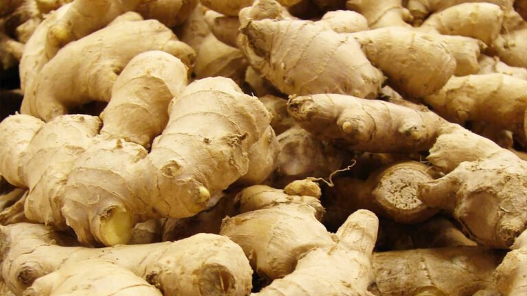 dry ginger