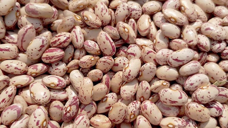 imgi 50 kidney beans 1296x728 feature