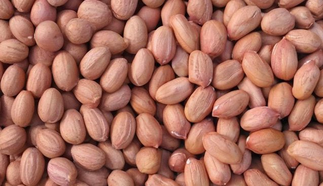 pumpkin1 seeds2